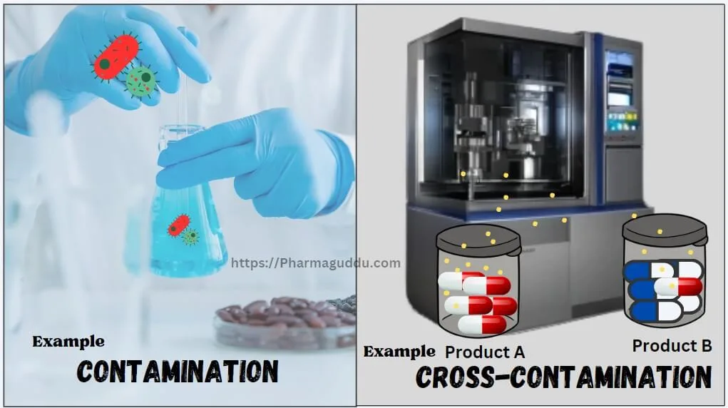 Contamination and cross-contamination illustrated with bacteria in lab and pharmaceutical capsules mixed.